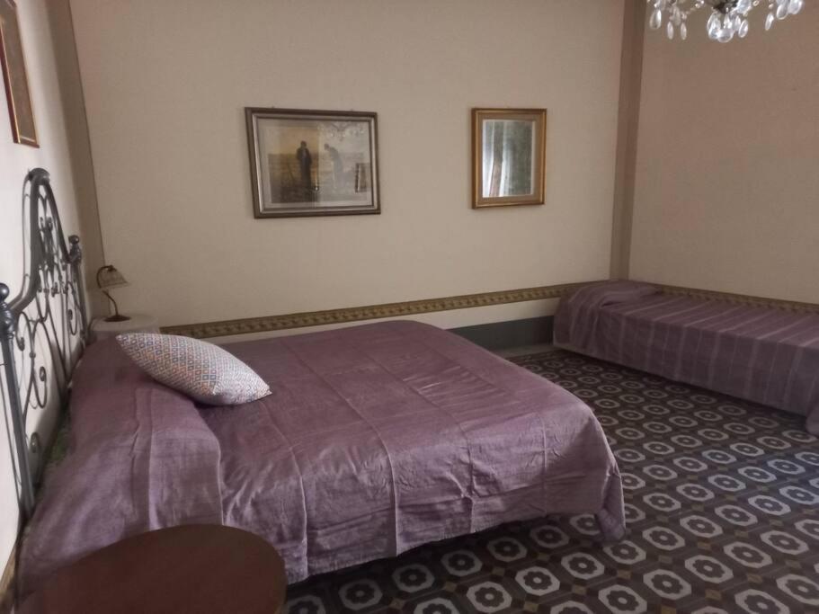 Vila La Casa Maestri A Cetona Exteriér fotografie